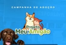 Prefeitura de Caruaru promove nova edição do projeto “Meu Amigão” nos dias 5 e 6 de agosto