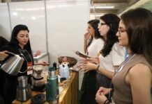Pernambuco se torna o melhor estado do Nordeste e o terceiro do Brasil para empreender