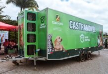 Prefeitura de Caruaru realiza Pet Day durante Semana Municipal de Combate à Leishmaniose no bairro das Rendeiras