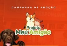 Marco Zero recebe ação da Prefeitura de Caruaru para adoção responsável de cães e gatos