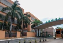 Anvisa aprova medicamento para tratar esquistossomose em crianças