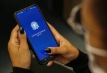 Brasil bate recorde com 103 milhões de pessoas ocupadas; mulheres puxam avanço desde 2012