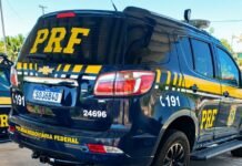 PRF conclui operação Sumaúma II com foco no combate a crimes ambientais