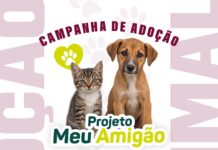Prefeitura de Caruaru promove evento de adoção Meu Amigão no Marco Zero