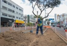 Novo canteiro da Avenida Agamenon Magalhães começa a ganhar forma com a requalificação realizada pela Prefeitura de Caruaru