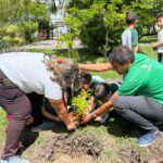 Caruaru fica em primeiro lugar no Nordeste em edital federal para arborização urbana e enfrentamento ao calor