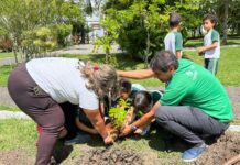 Caruaru fica em primeiro lugar no Nordeste em edital federal para arborização urbana e enfrentamento ao calor