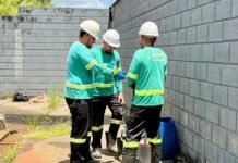 ESG nos pequenos negócios: por onde começar e como transformar boas práticas em resultados