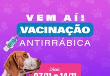 Prefeitura de Caruaru realizará Campanha de Vacinação Antirrábica nos dias 7 e 14 de novembro