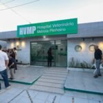 Prefeitura de Caruaru entrega primeiro Hospital Veterinário Municipal do interior de Pernambuco e amplia assistência aos animais
