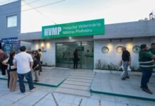 Prefeitura de Caruaru entrega primeiro Hospital Veterinário Municipal do interior de Pernambuco e amplia assistência aos animais