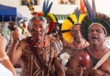 Comitê de Cultura em Pernambuco abre 150 vagas em cursos gratuitos para produzir eventos e conseguir dinheiro para projetos culturais