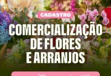 Prefeitura de Caruaru abre cadastro para comercialização de flores e arranjos no Dia de Finados