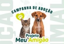 Prefeitura de Caruaru promove nova edição do Meu Amigão para incentivar a adoção responsável de pets