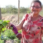 Agricultoras e agricultores de Pernambuco apresentam experiências de resiliência climática e combate à fome para delegação do Quênia