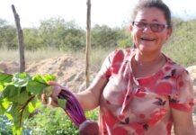 Agricultoras e agricultores de Pernambuco apresentam experiências de resiliência climática e combate à fome para delegação do Quênia